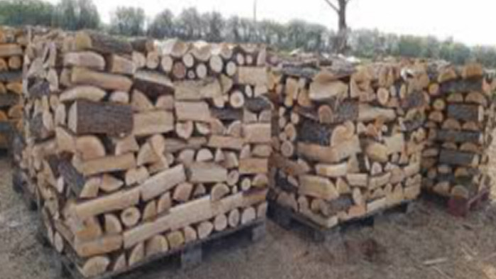 Жителите на Област Варна са получили над 32 хиляди кубика дърва за огрев